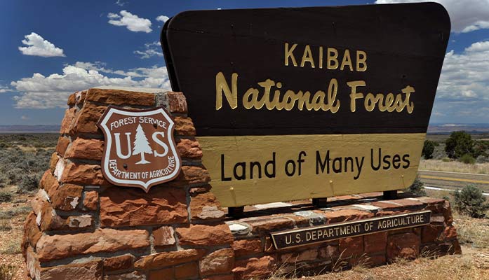 kaibab national forest