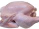 broiler chicken