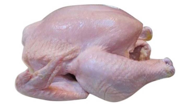 broiler chicken